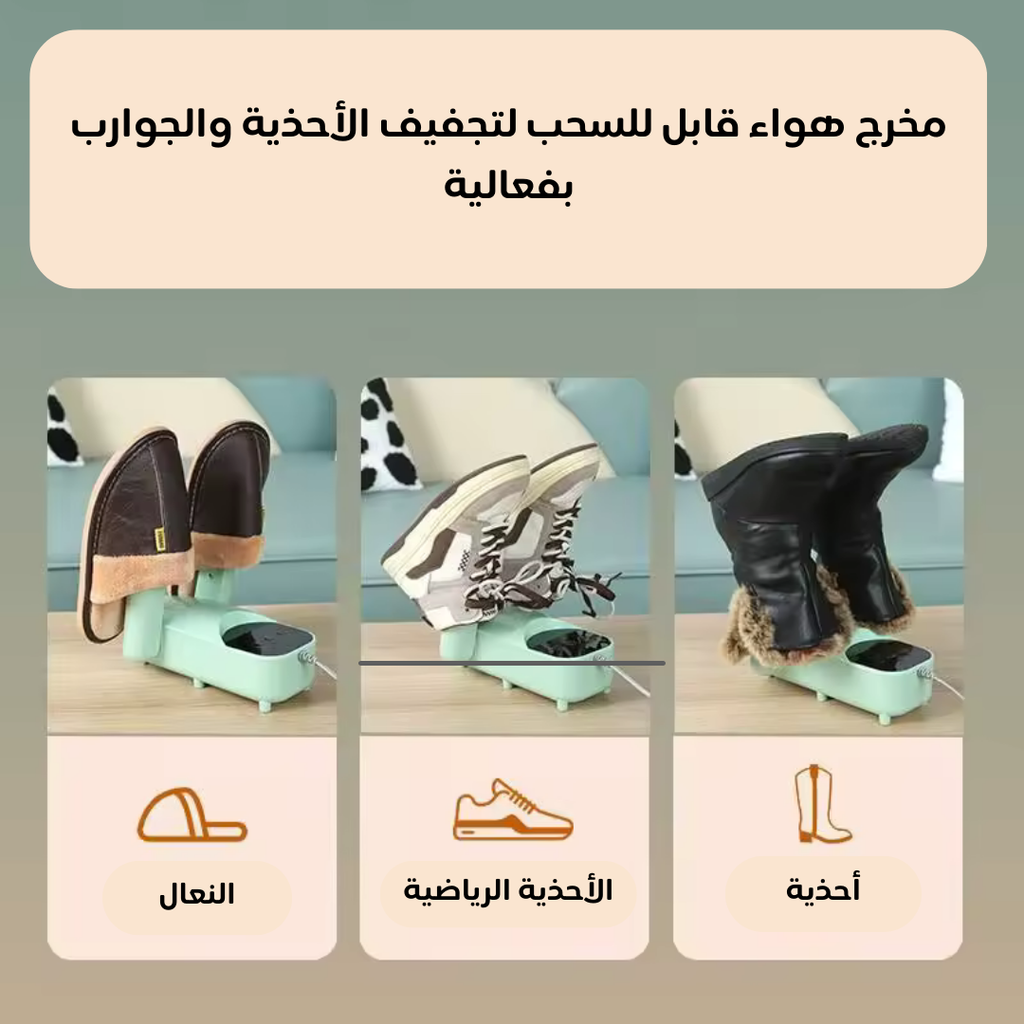 electric-shoe